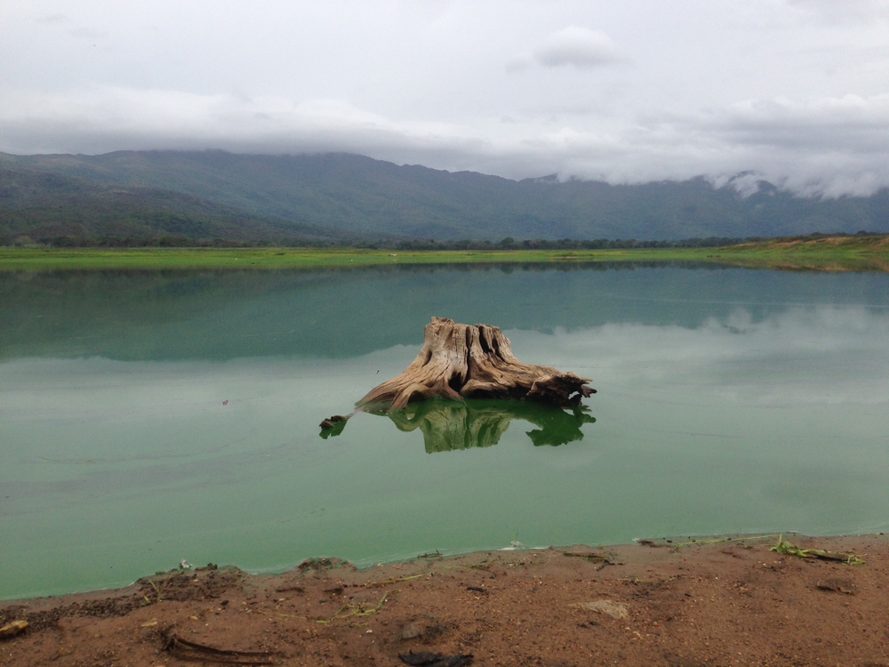 Lake Valencia