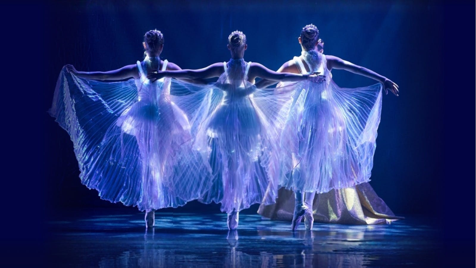 Light Ballet Show