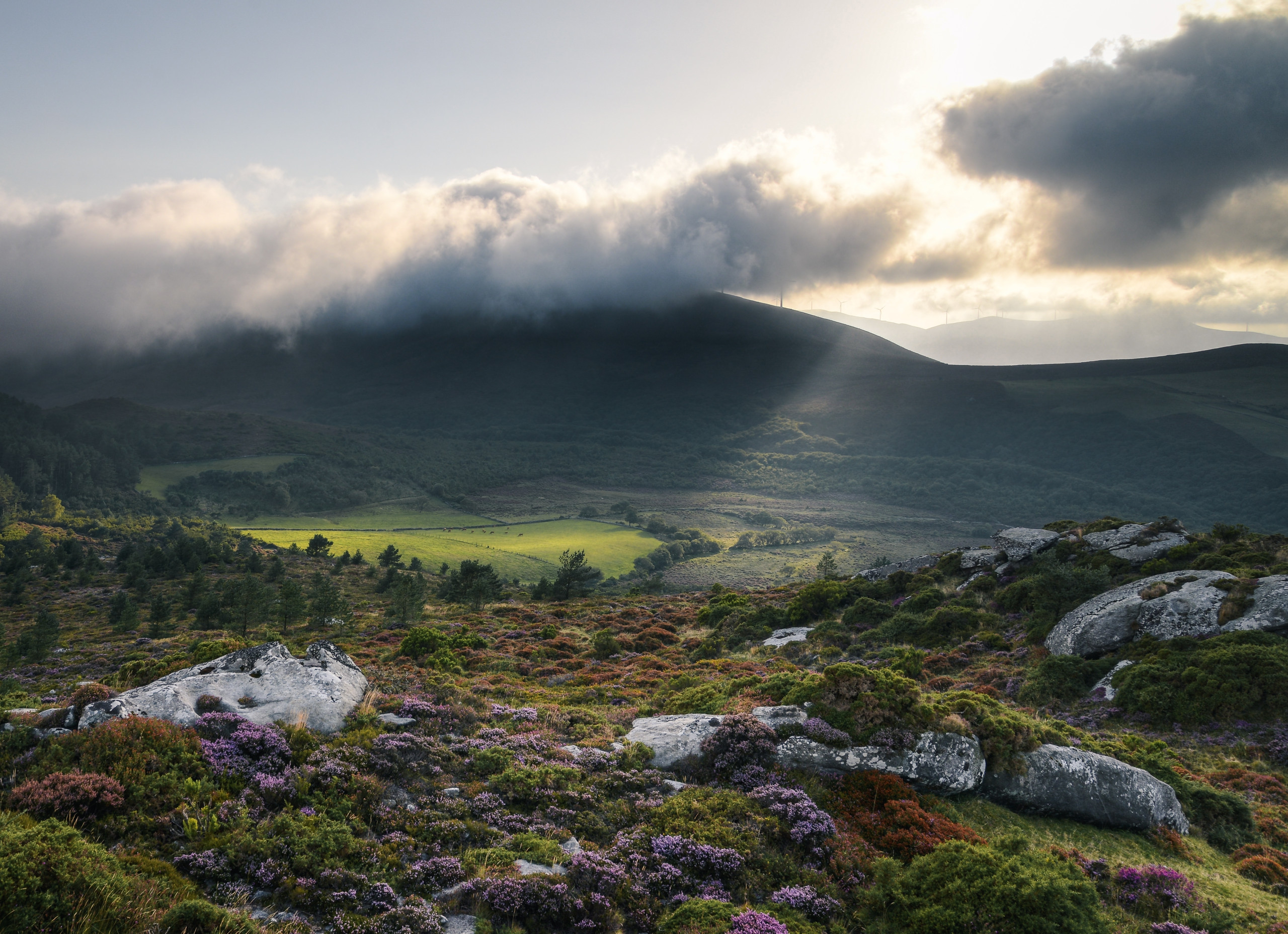 Galician countryside landscape