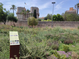 Valencia Opens New Pollinator Garden in the Turia Garden