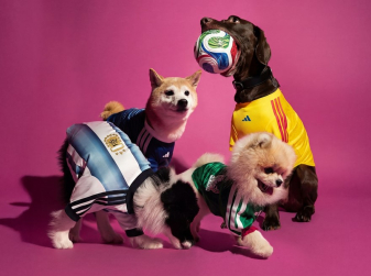 Adidas Releases Official 2026 World Cup Jerseys — for Dogs and Cats