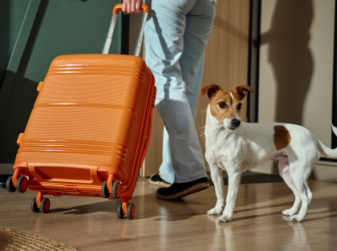 Travelling with Pets in Europe: EU Toughens Rules and Fines from 22 April