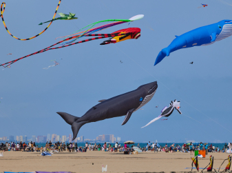 High Flyers: Valencia’s Cabanyal Beach Prepares for its Landmark 25th International Kite Festival