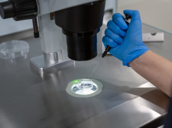 Sperm Quality Varies Sharply by Region in Spain, Study Finds