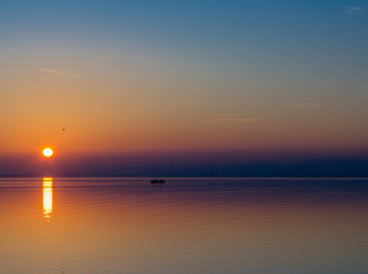 Valencia Brings Back Free "Sunset in the Albufera" Tours for July 2026