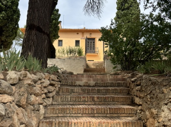 Grape-Harvesting Season: La Cotorra on a Winery Tour