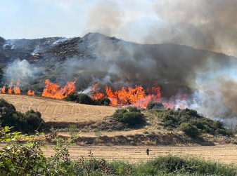 Wildfire Emergency in Spain: Zaragoza Fire Explodes to 12,000 Hectares