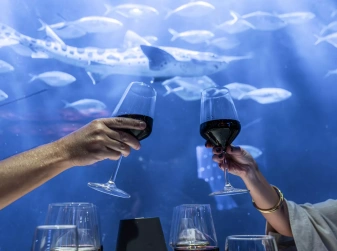 A Six-Course Underwater Dinner Is Coming to Valencia's Oceanogràfic on 14 May