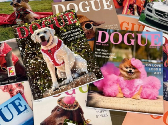 Vogue vs. Dogue: Condé Nast Sues Independent Dog Magazine for Trademark Infringement