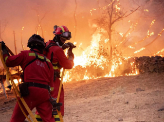 Almería Wildfire Death Toll Rises to 13 as Fire Is Stabilized