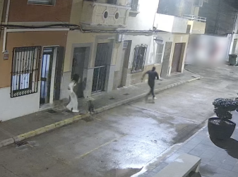 A brave dog bites a criminal and foils a kidnap in Valencia