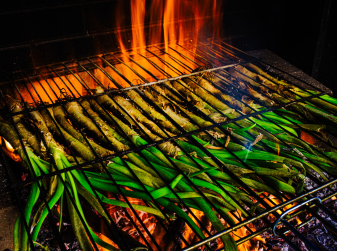 Spain launches the world’s first app mapping calçot onions