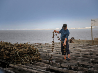 Clóchinas Are Back: Valencia's Tiny Local Mussels Are Only on Sale Until August