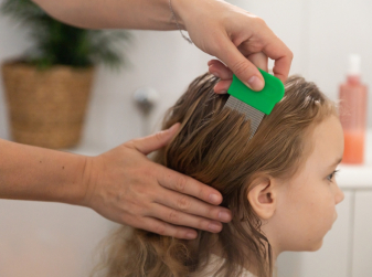 Head Lice: What to Do If an Outbreak Is Detected at Your School in Valencia