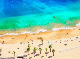 Valencia's Best Beaches in 2026: From Malvarrosa to the Wild Shores of the Albufera Natural Park