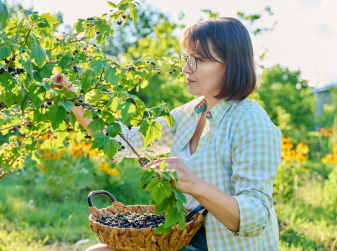 He Swapped IT Startups for a Forgotten Plot Near Valencia — Is Now Growing Blackcurrants in Spain
