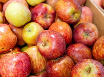 Pesticides Found in Every Spanish Apple, Study Says
