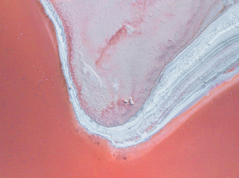 Torrevieja Wants to Open Its Pink Lagoon for Bathing