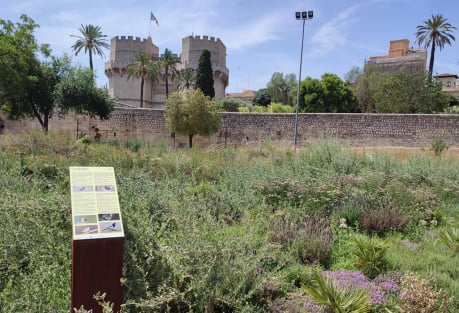 Valencia Opens New Pollinator Garden in the Turia Garden