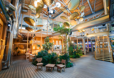 Madrid Space Launches "Plant Hotel" to Care for Houseplants During Summer Vacations