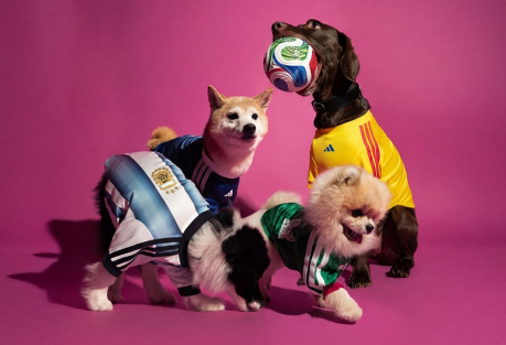 Adidas Releases Official 2026 World Cup Jerseys — for Dogs and Cats