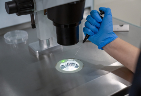 Sperm Quality Varies Sharply by Region in Spain, Study Finds