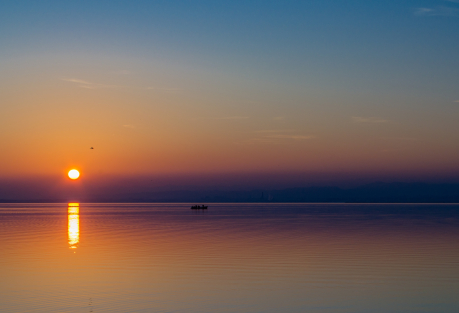 Valencia Brings Back Free "Sunset in the Albufera" Tours for July 2026