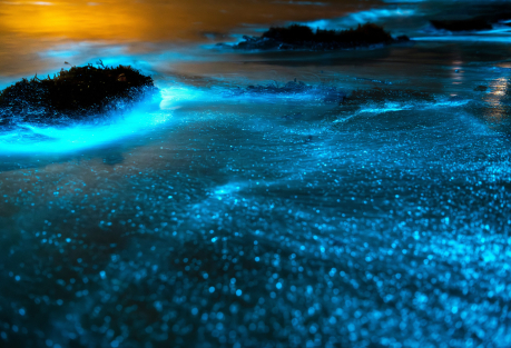 Glowing Seas of Spain: Where to See Bioluminescence Along the Coast