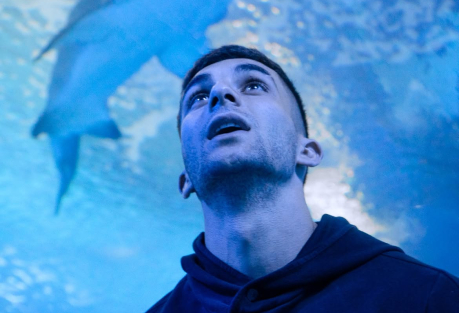 Valencia Aquarium Names Shark After Ferran Torres Following World Cup Victory