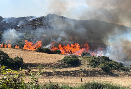 Wildfire Emergency in Spain: Zaragoza Fire Explodes to 12,000 Hectares