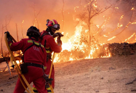Almería Wildfire Death Toll Rises to 13 as Fire Is Stabilized