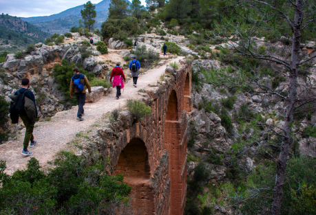 From Coast to Mountains: 15 Scenic Hiking Ideas Near Valencia
