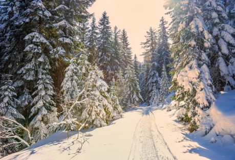 Where you can throw snowballs, go skiing, or simply stroll along snow-covered streets in Spain