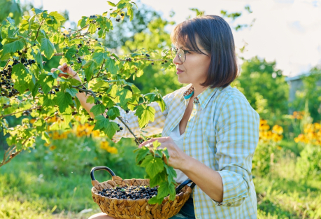 He Swapped IT Startups for a Forgotten Plot Near Valencia — Is Now Growing Blackcurrants in Spain