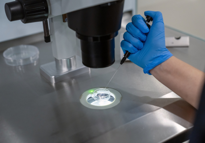 Sperm Quality Varies Sharply by Region in Spain, Study Finds