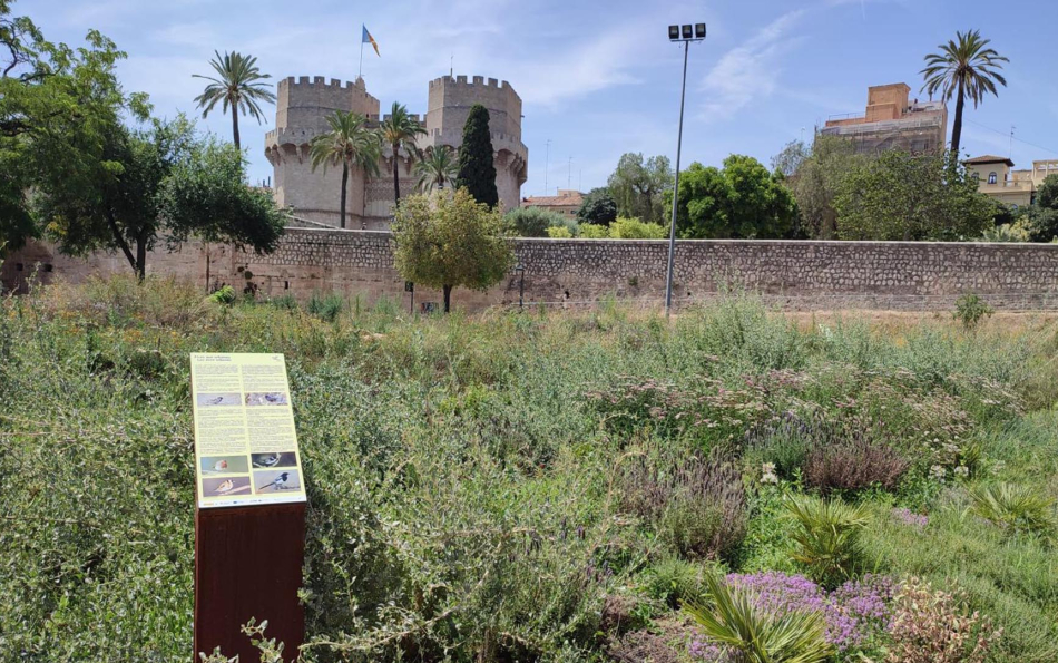 Valencia Opens New Pollinator Garden in the Turia Garden