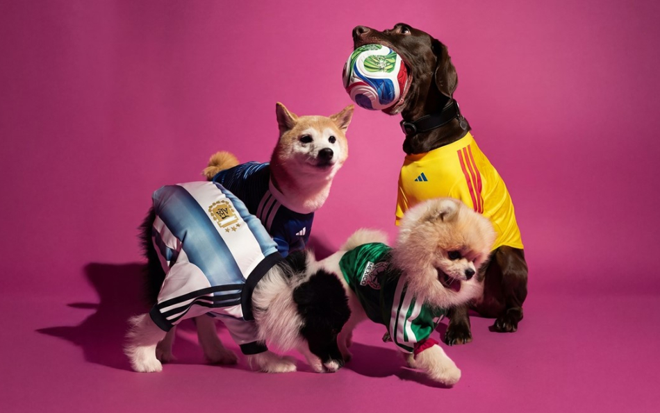 Adidas Releases Official 2026 World Cup Jerseys — for Dogs and Cats