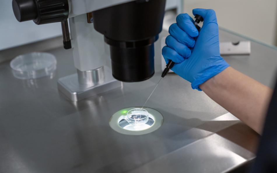 Sperm Quality Varies Sharply by Region in Spain, Study Finds