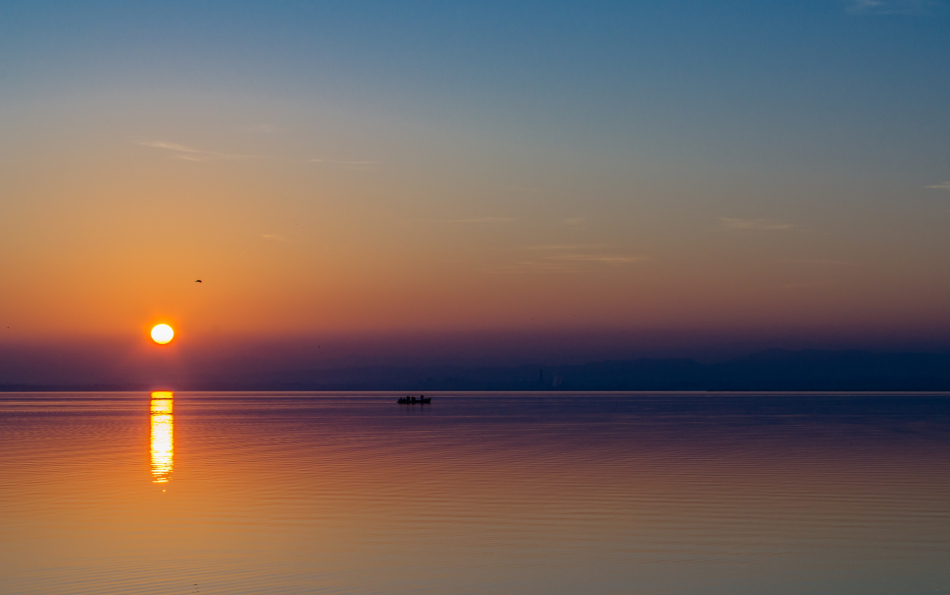 Valencia Brings Back Free "Sunset in the Albufera" Tours for July 2026