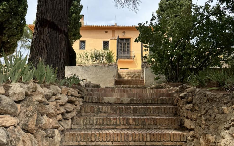 Grape-Harvesting Season: La Cotorra on a Winery Tour