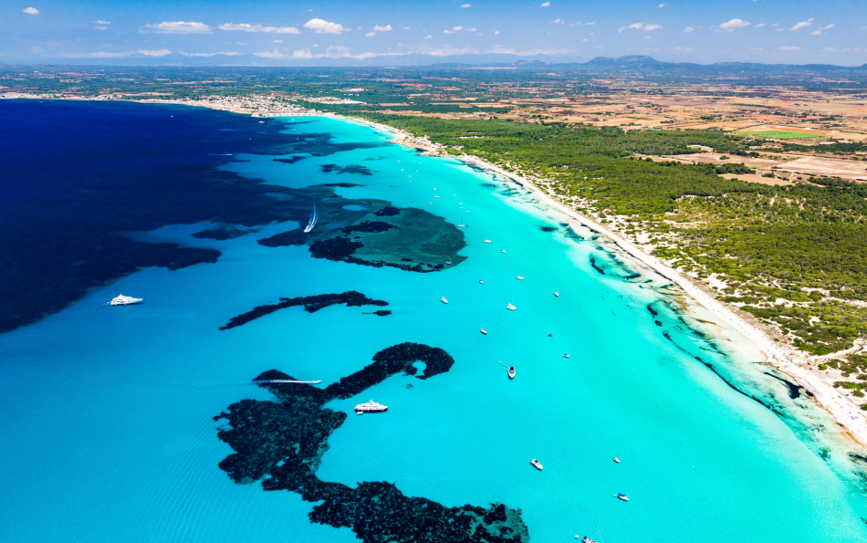 Spain Tops the World for Blue Flag Beaches in 2026 — and the Valencian Community Leads the Country