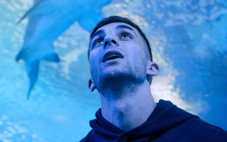 Valencia Aquarium Names Shark After Ferran Torres Following World Cup Victory