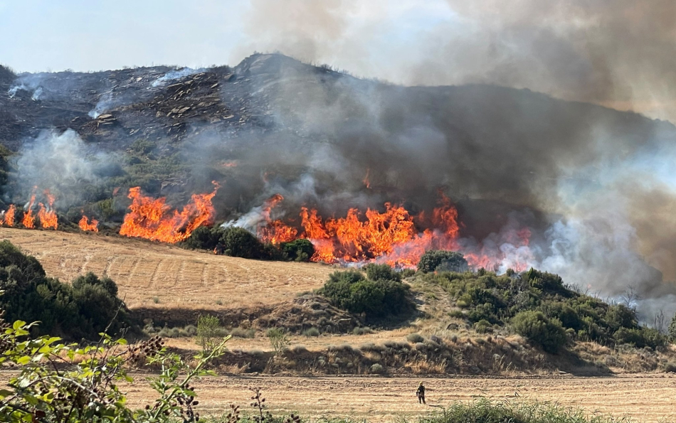 Wildfire Emergency in Spain: Zaragoza Fire Explodes to 12,000 Hectares