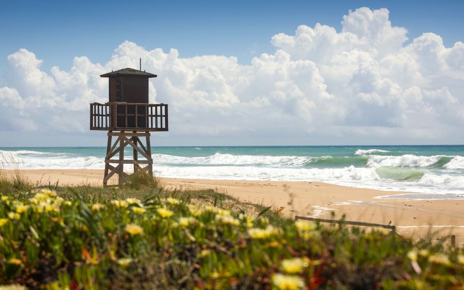 Valencia Unveils Free Nature Guide Featuring 69 Stunning Water Routes