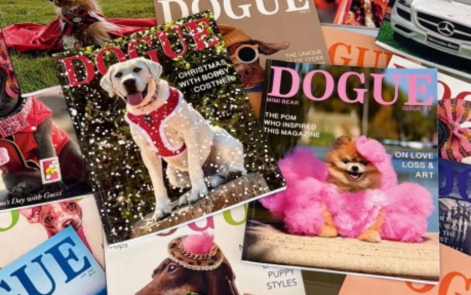 Vogue vs. Dogue: Condé Nast Sues Independent Dog Magazine for Trademark Infringement