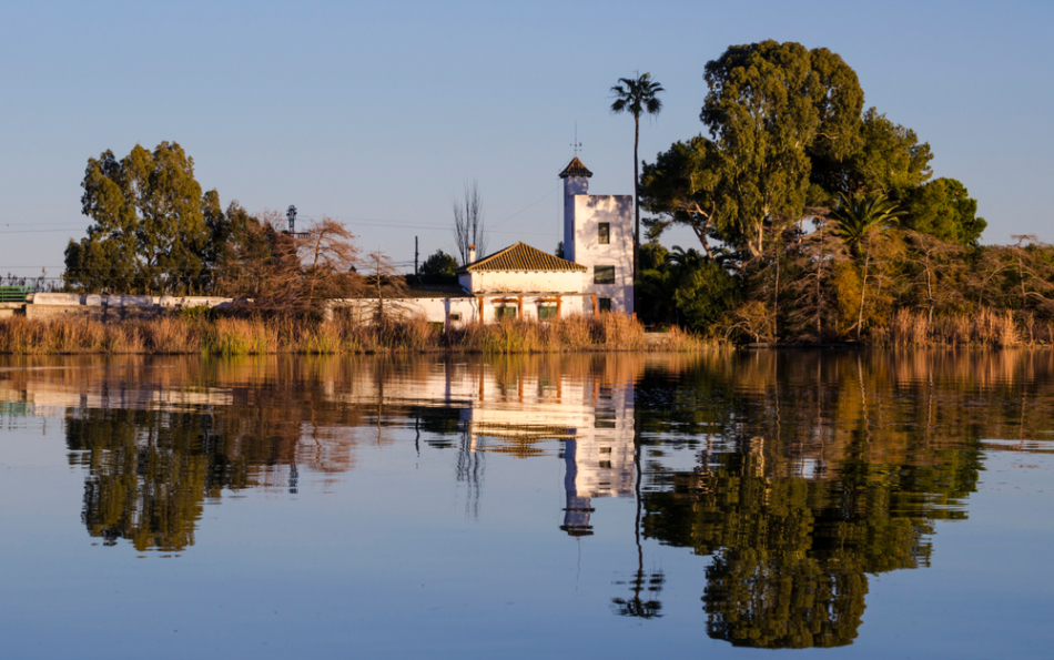 10 Places in Valencia That Will Delight Both Adults and Children