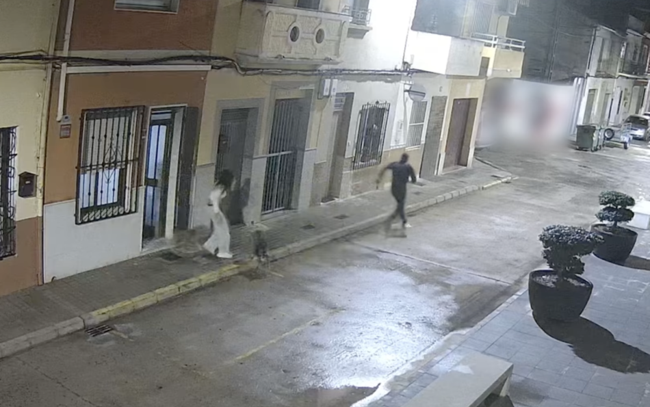 A brave dog bites a criminal and foils a kidnap in Valencia