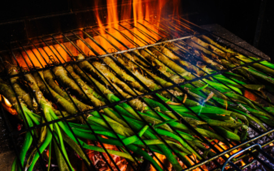 Spain launches the world’s first app mapping calçot onions