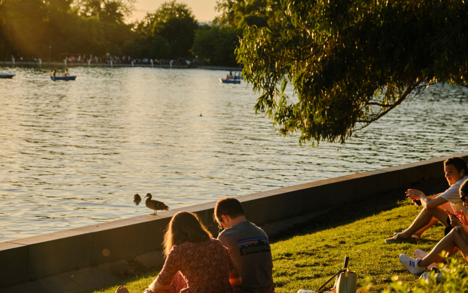 What to Do in Madrid This July: Festivals, Concerts & Open-Air Cinema