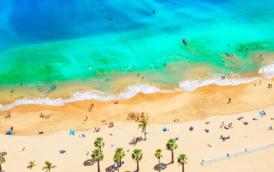 Valencia's Best Beaches in 2026: From Malvarrosa to the Wild Shores of the Albufera Natural Park